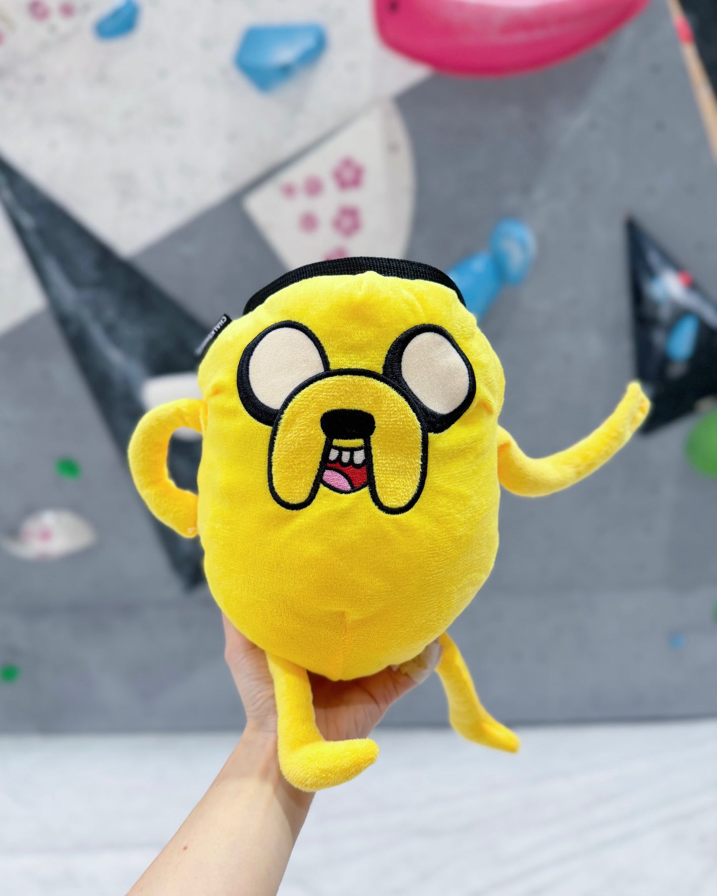 Jake Chalk bag