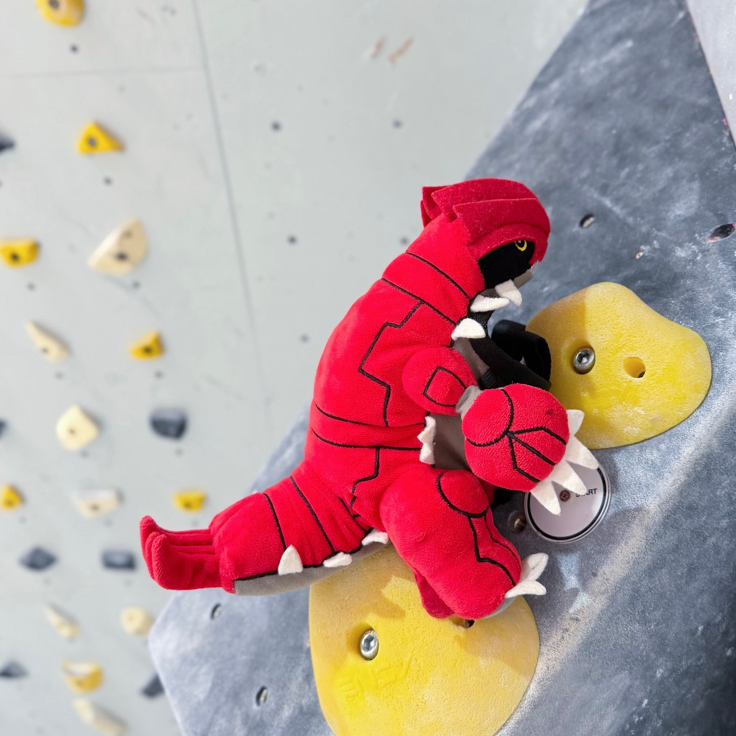 Groudon chalk bag : Limited Edition