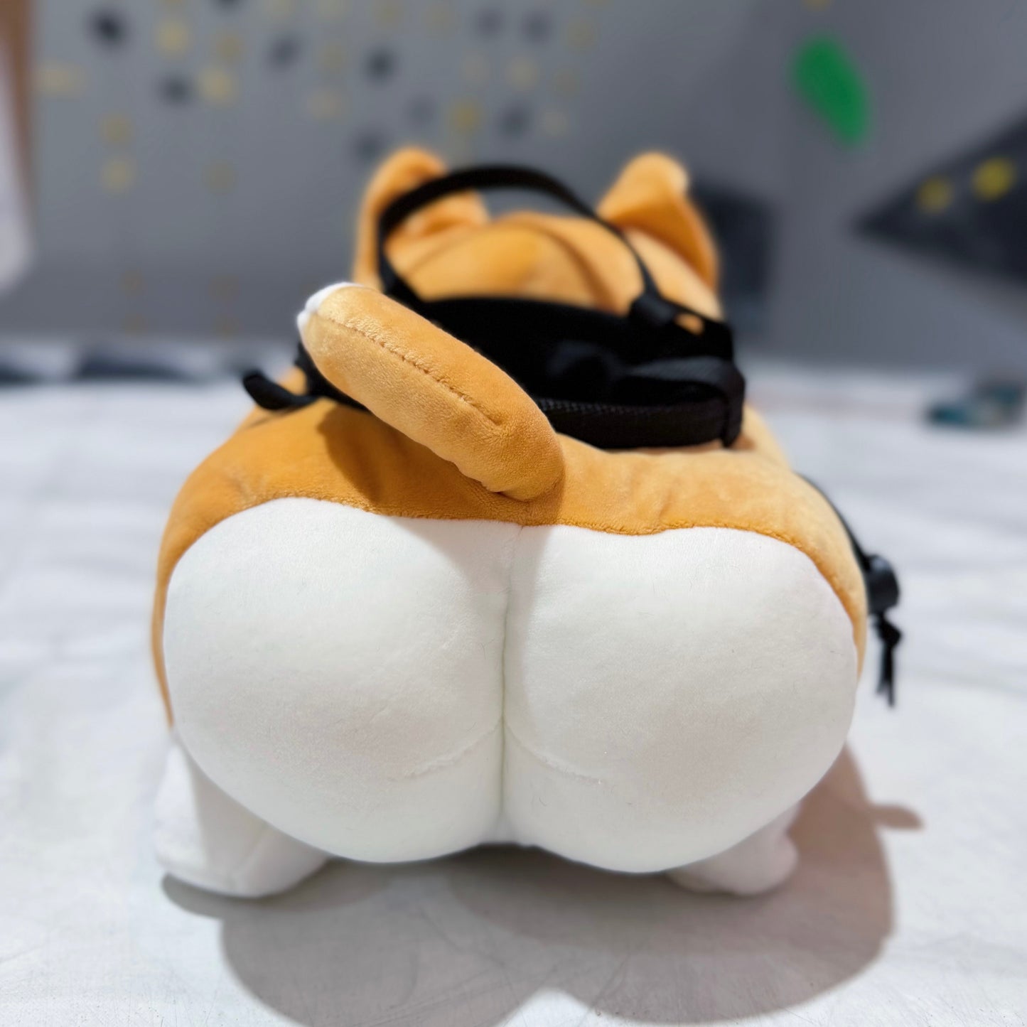 Corgi Bouldering bag / Chalk bag