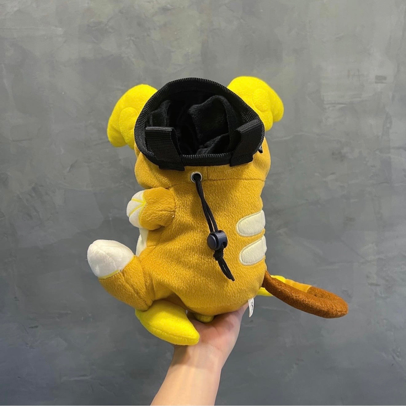 Limited Edition: Alolan Raichu chalk bag