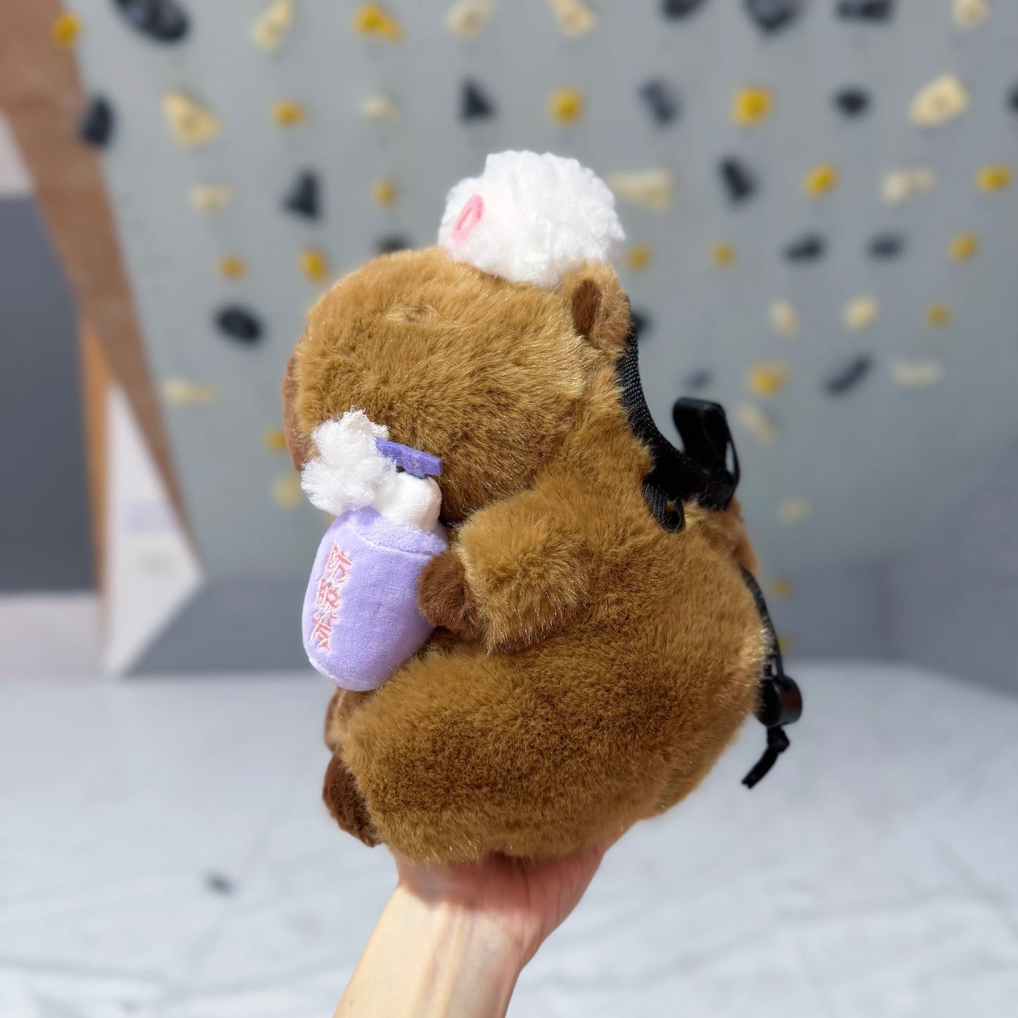 Capybara the colorist chalk bag