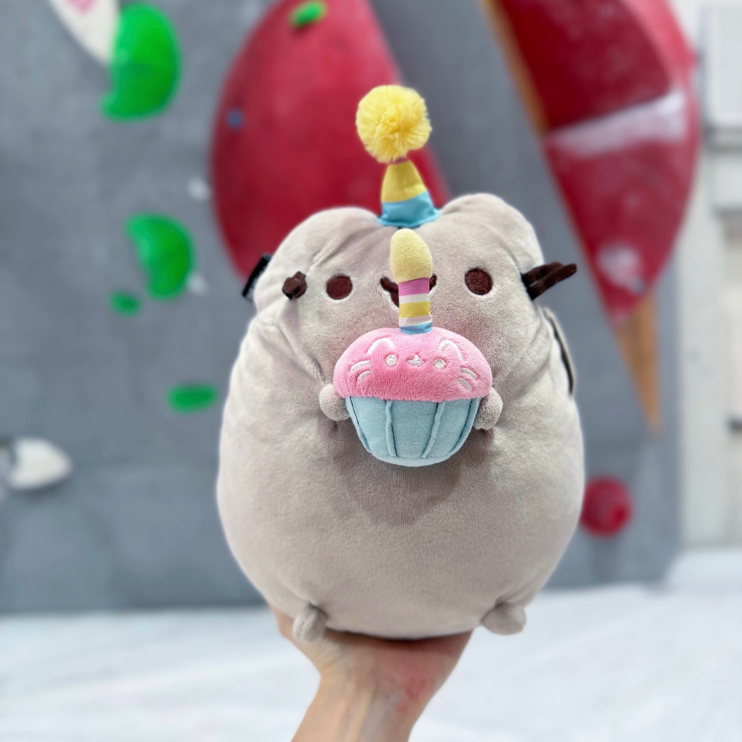 Pusheen & Cupcake chalk bag