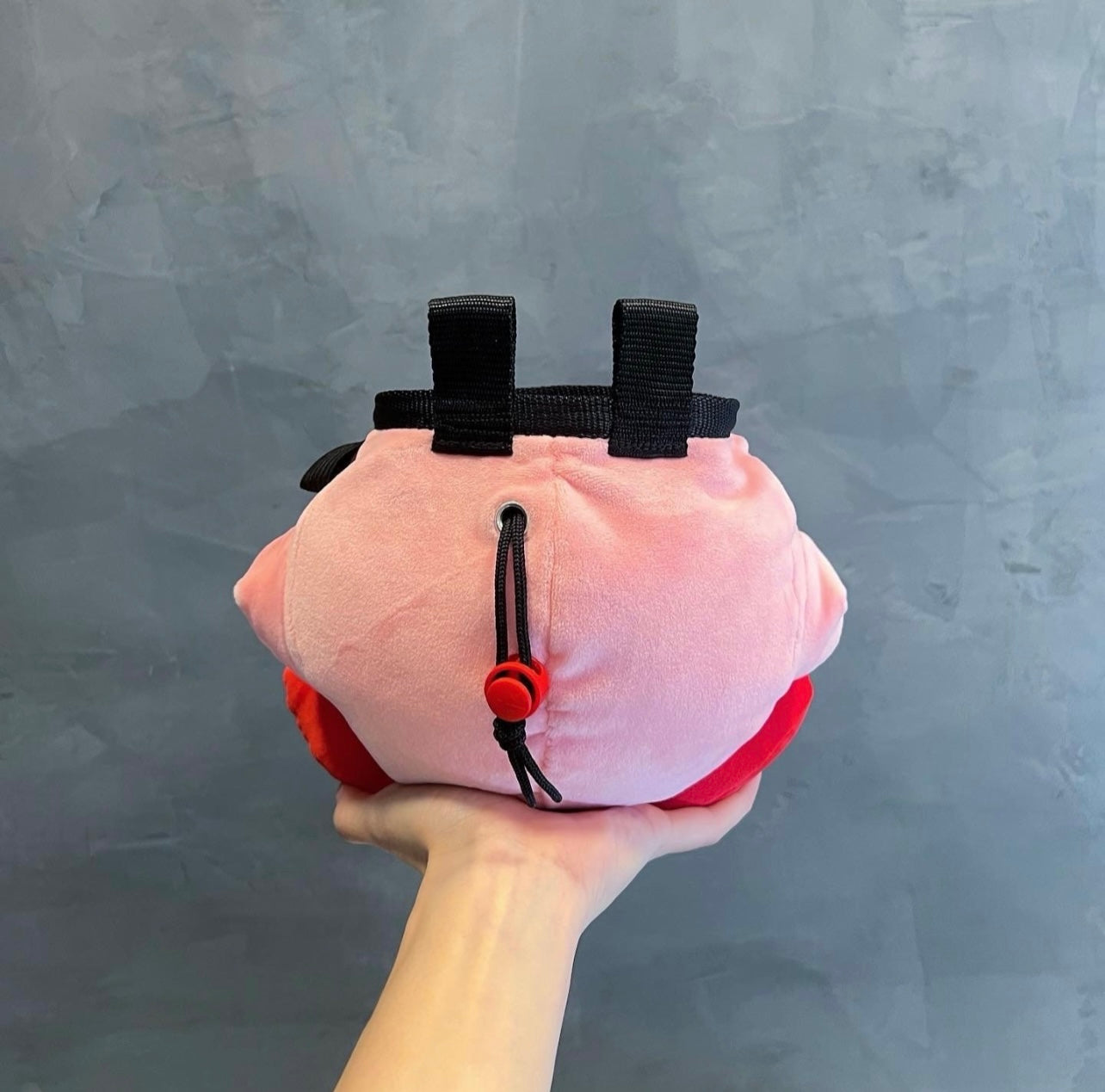 Sleeping Kirby chalk bag