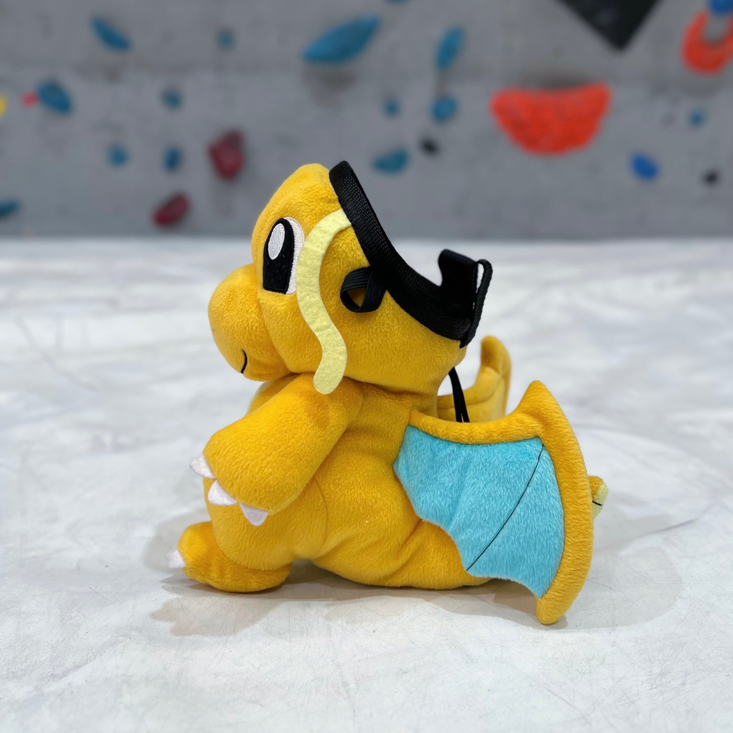 Dragonite chalk bag