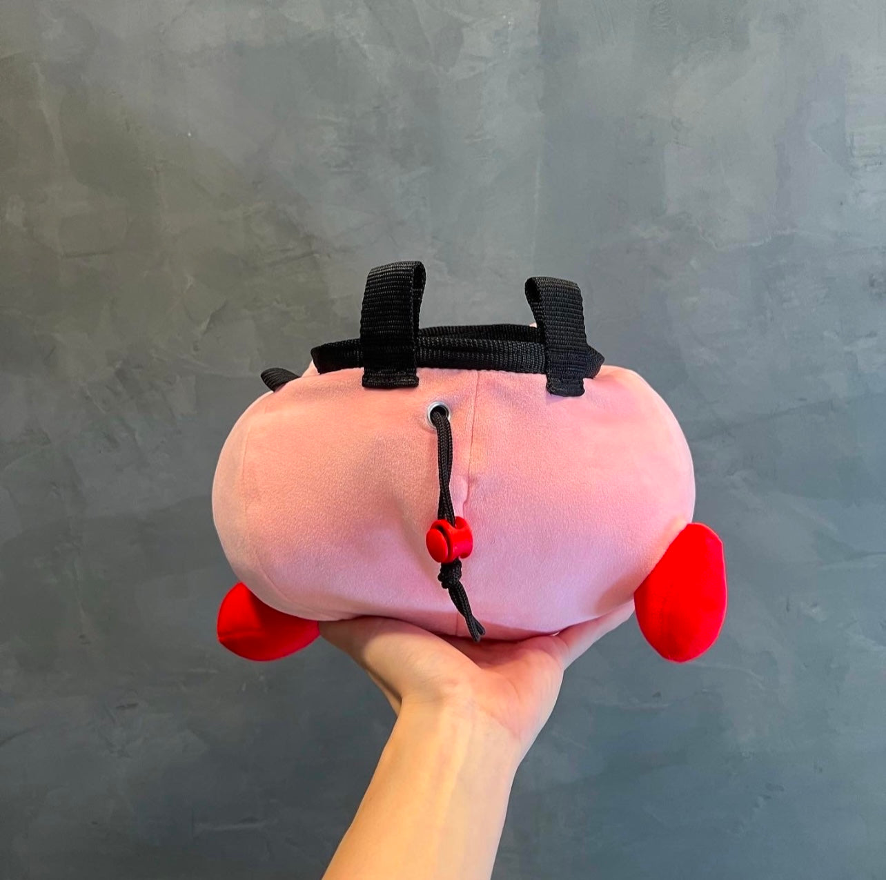 Kirby chalk bag