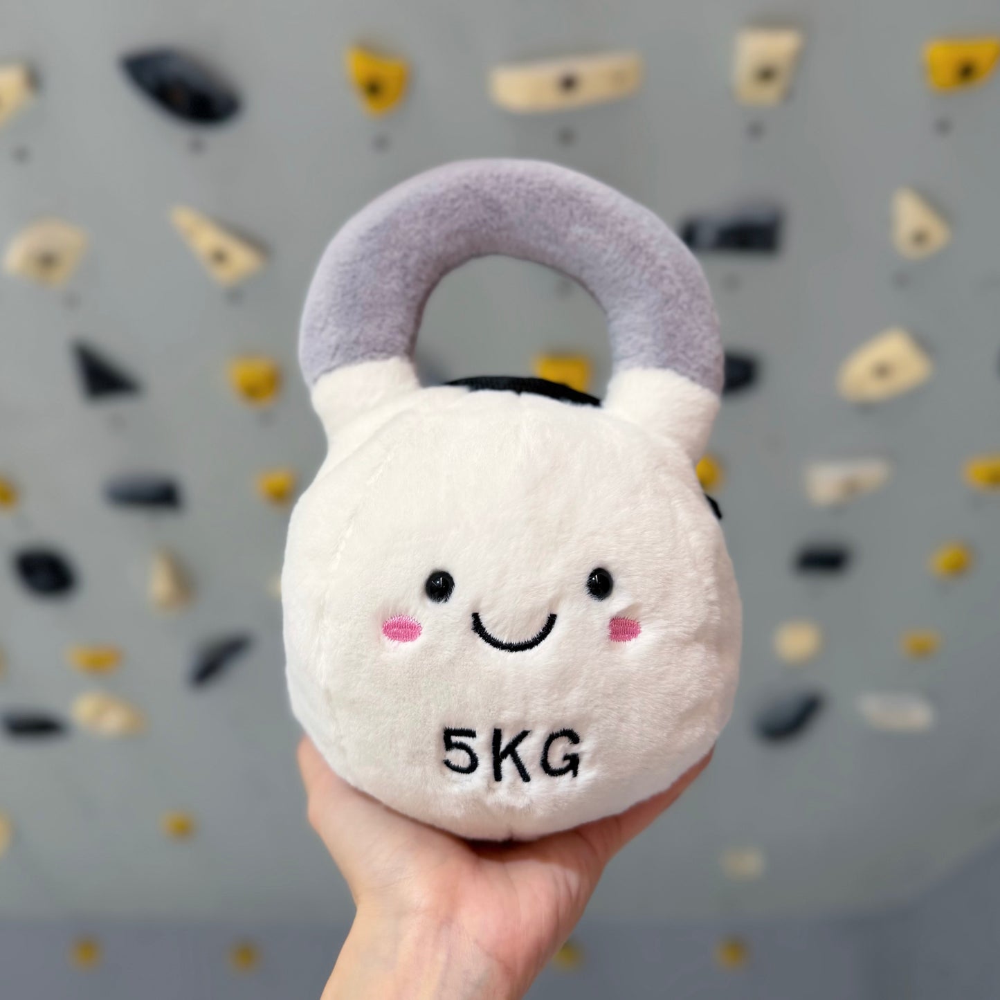 Kettlebell chalk bag (white)