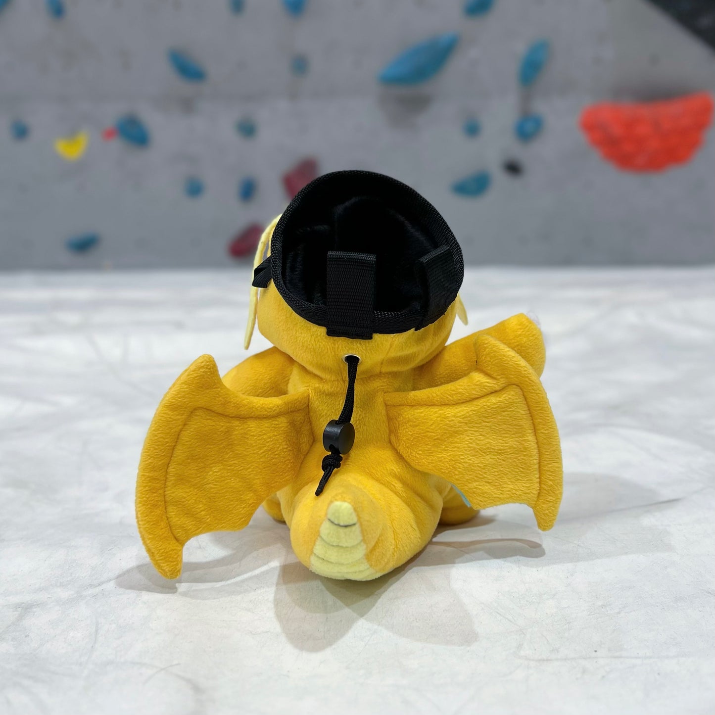 Dragonite chalk bag