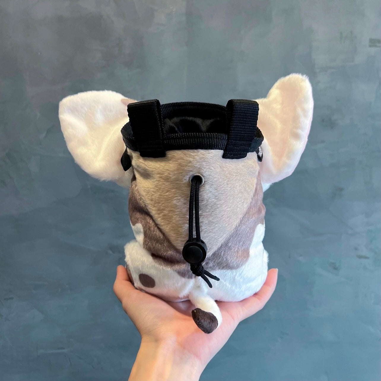 Pua Pig chalk bag