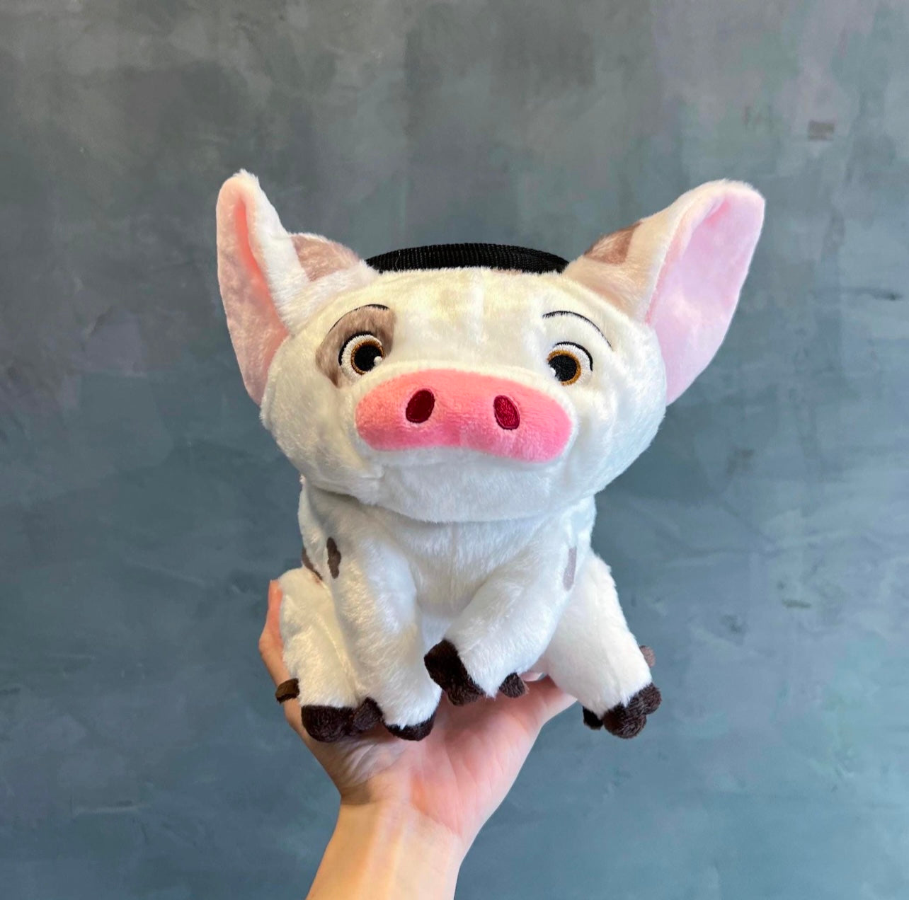 Pua Pig chalk bag