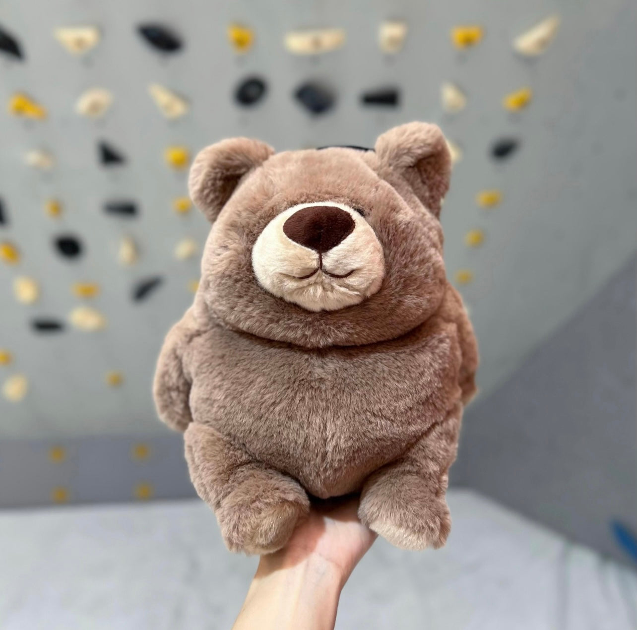 Chubby Brown Bear chalk bag