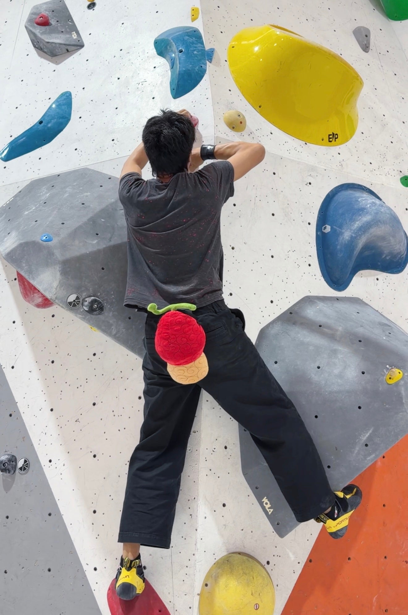 Devil Fruit chalk bag (Hito Hito no Mi)