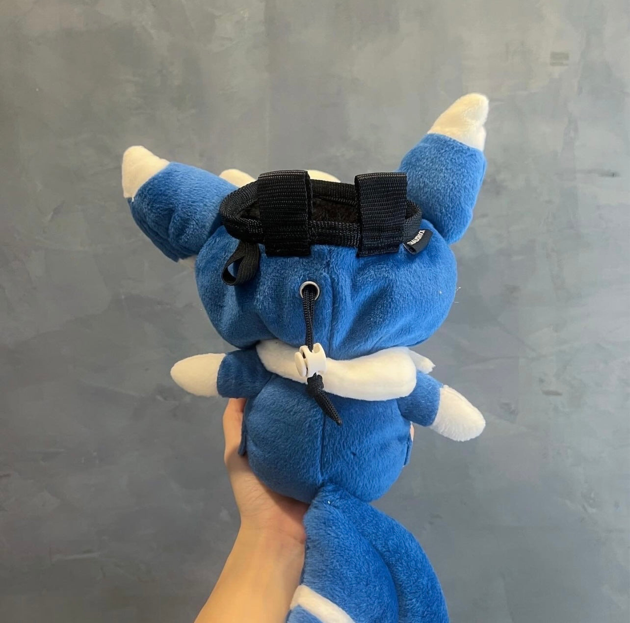 Meowstic chalk bag