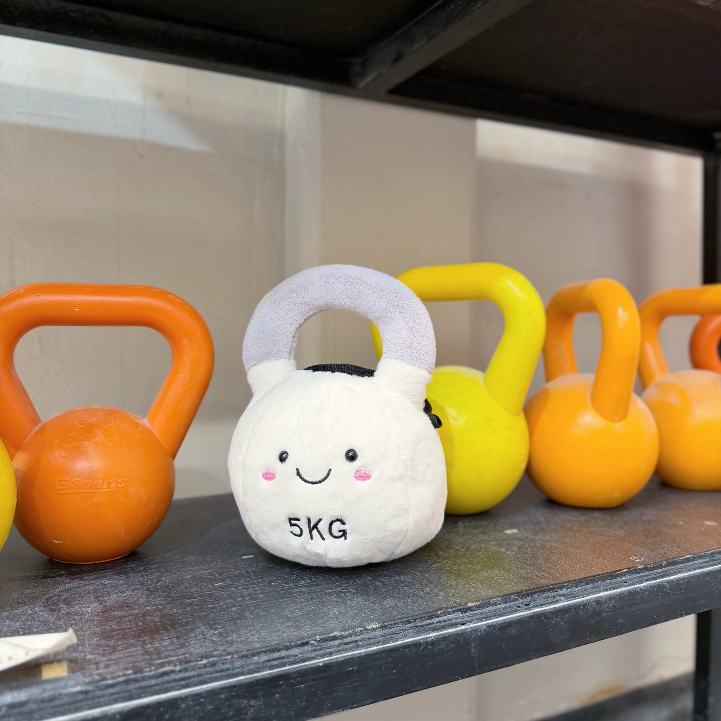 Kettlebell chalk bag (white)