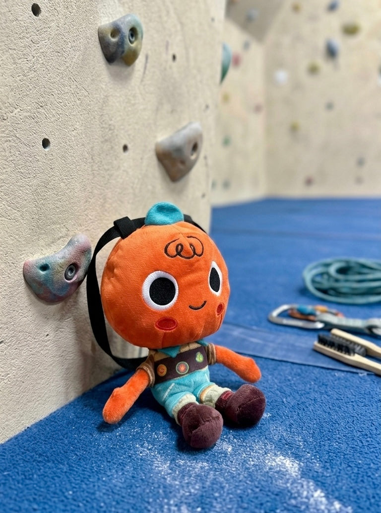 Scout chalk bag