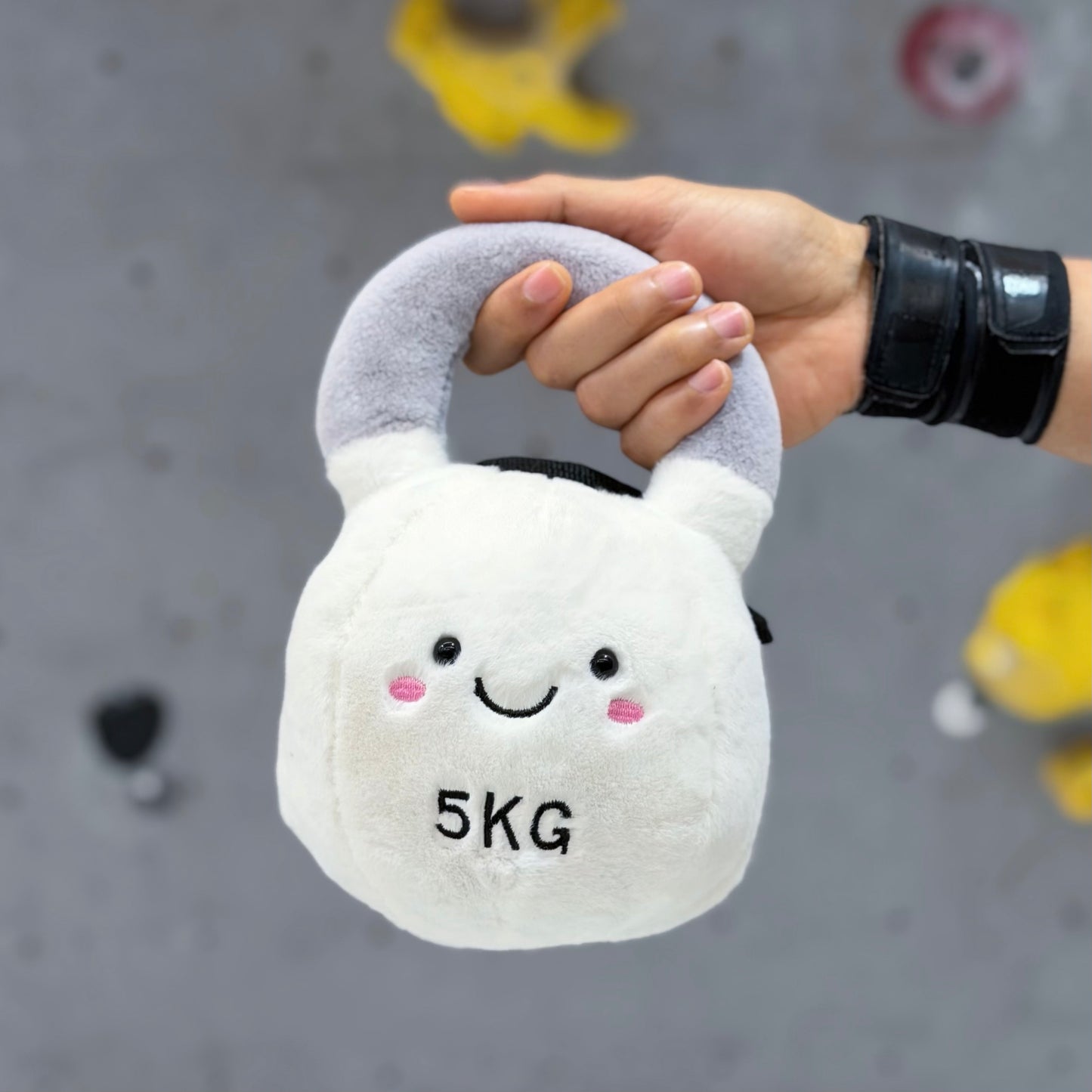 Kettlebell chalk bag (white)