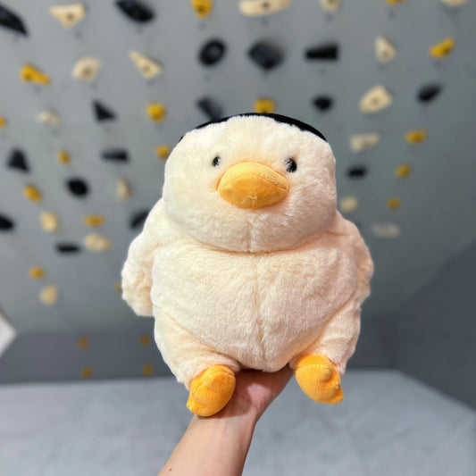 Chubby Chick chalk bag