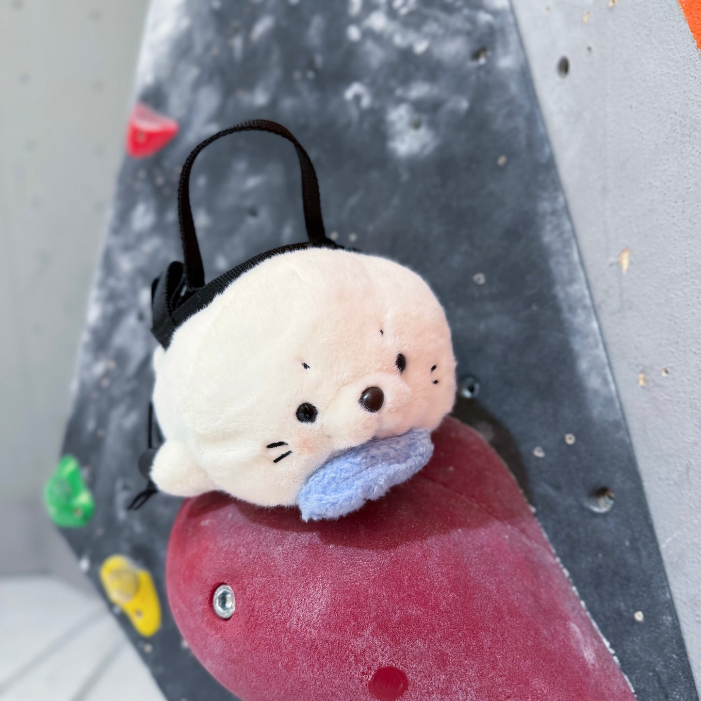 Seal chalk bag / Mini bouldering bag