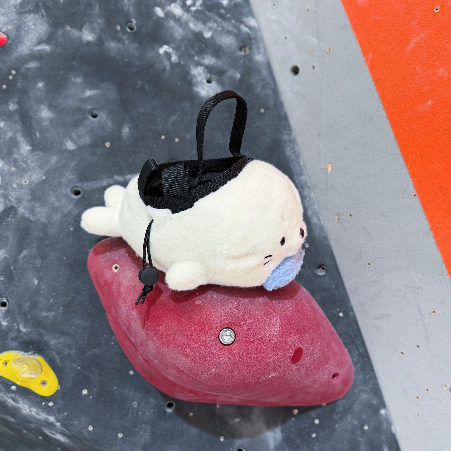 Seal chalk bag / Mini bouldering bag