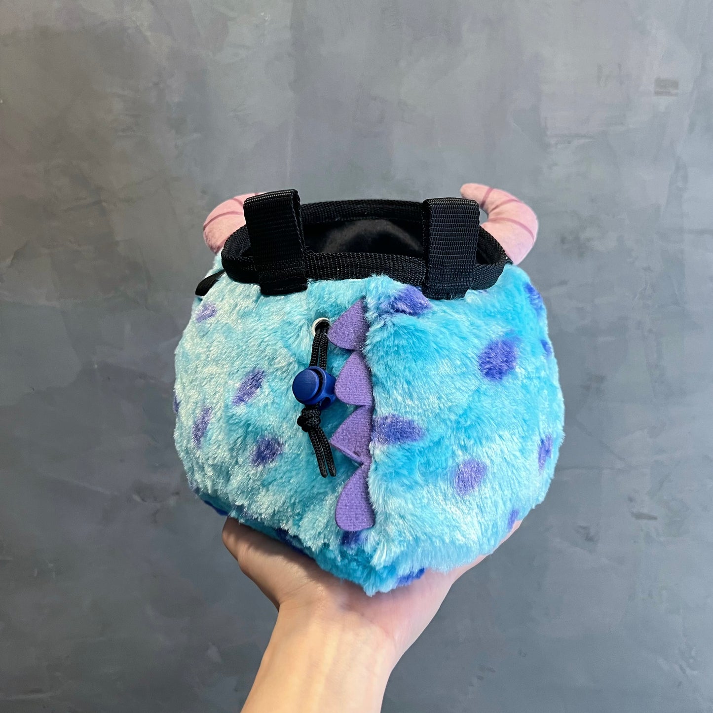 Sulley chalk bag / bouldering bag