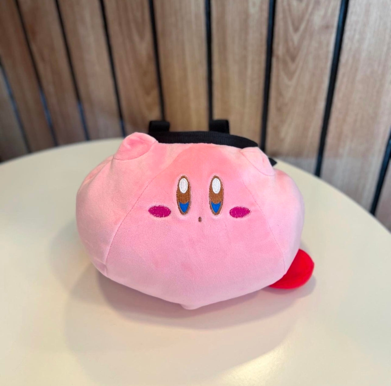 Kirby chalk bag