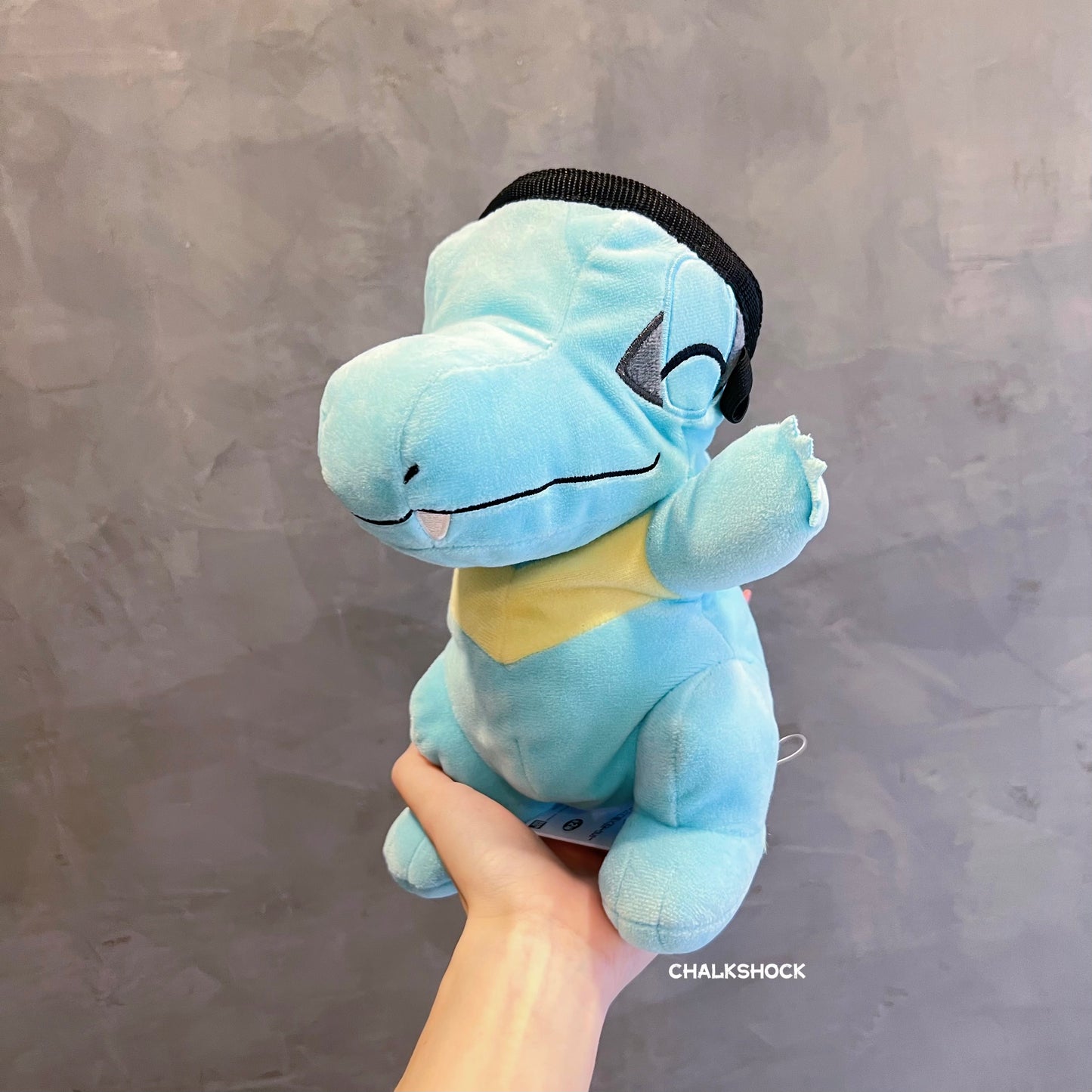 Totodile chalk bag