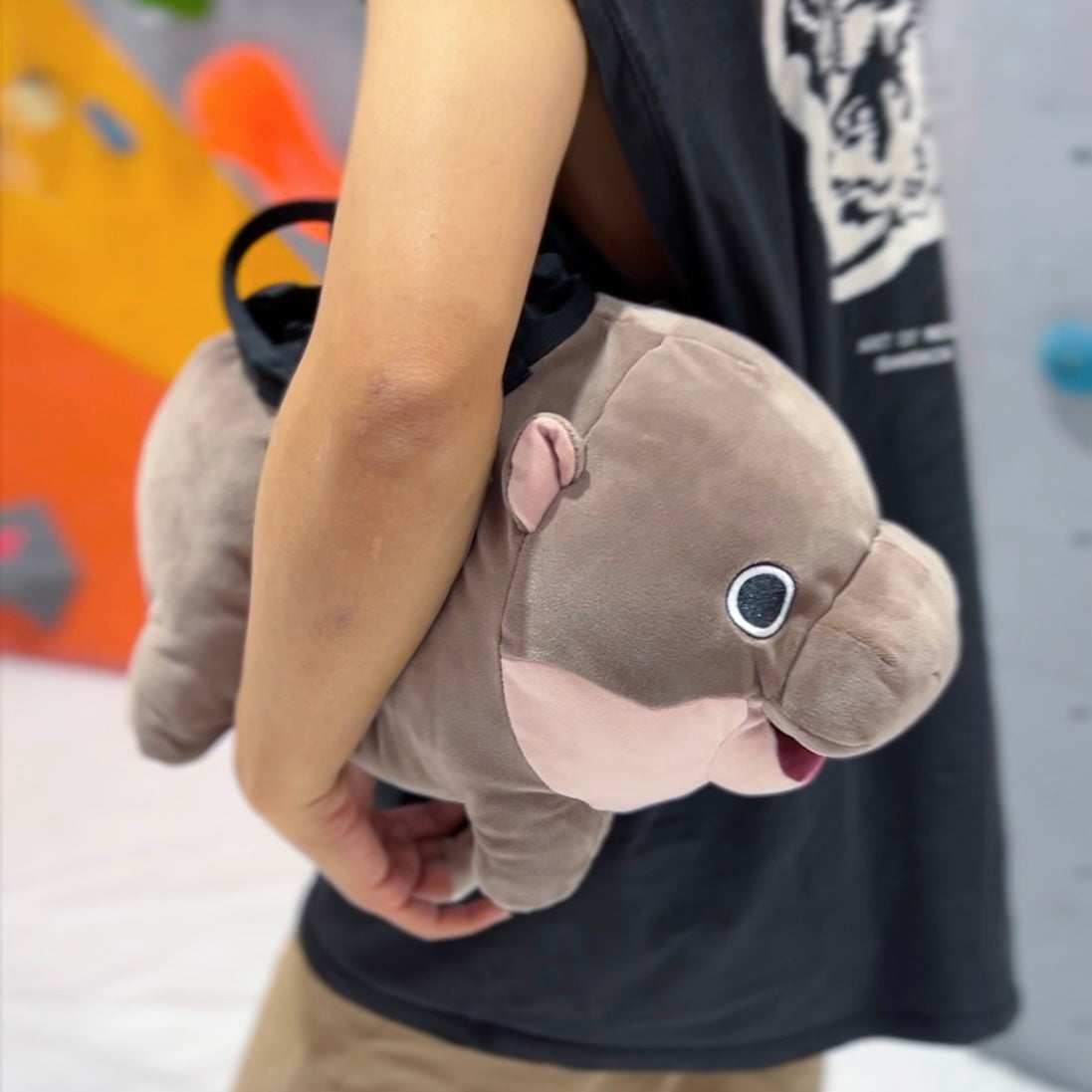 Hippo Bouldering Bag