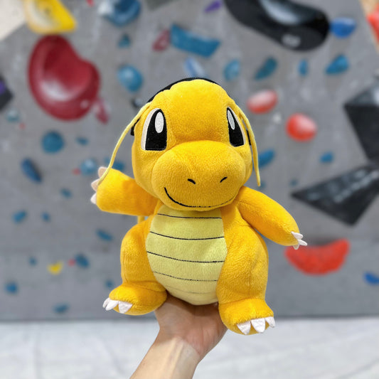 Dragonite chalk bag