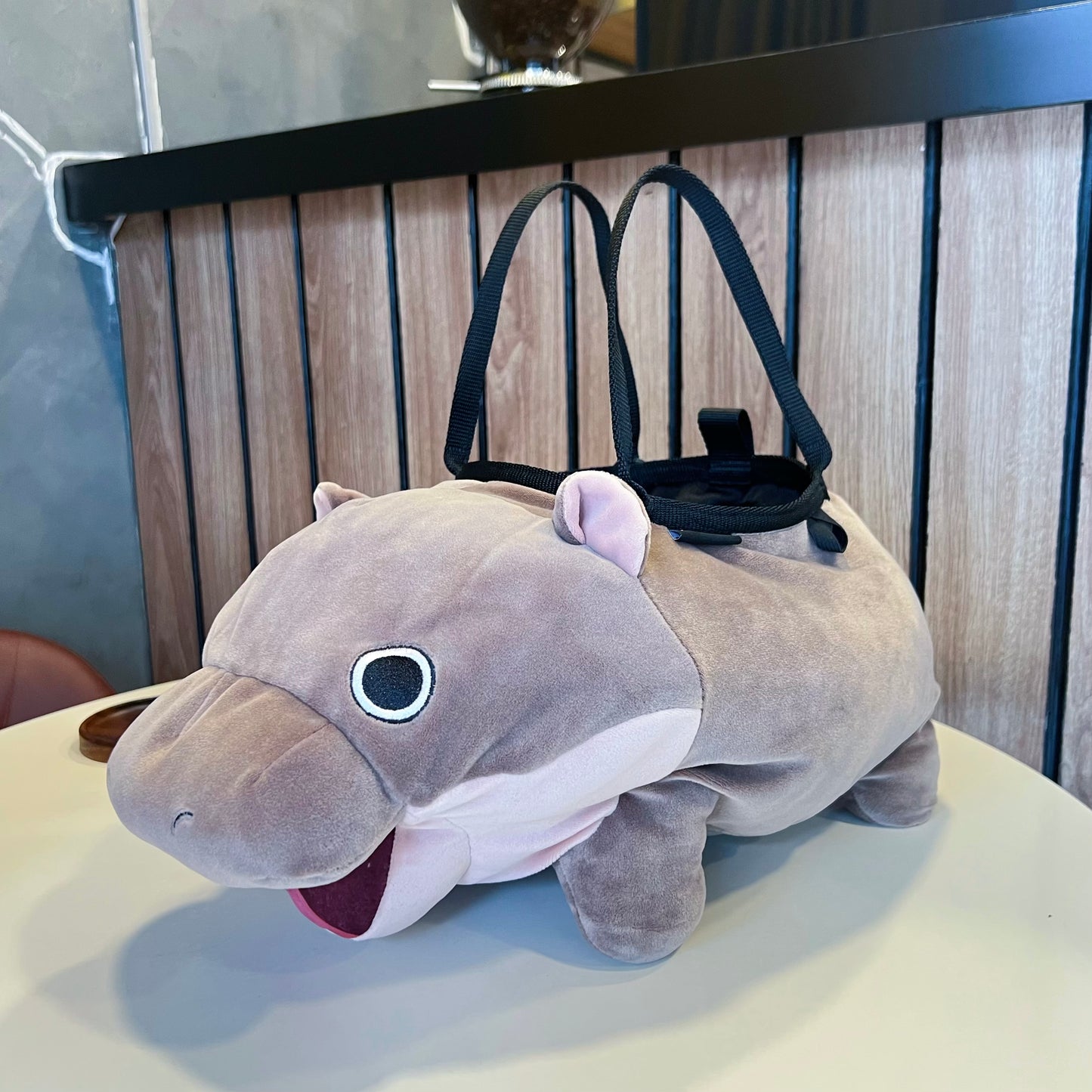 Hippo Bouldering Bag