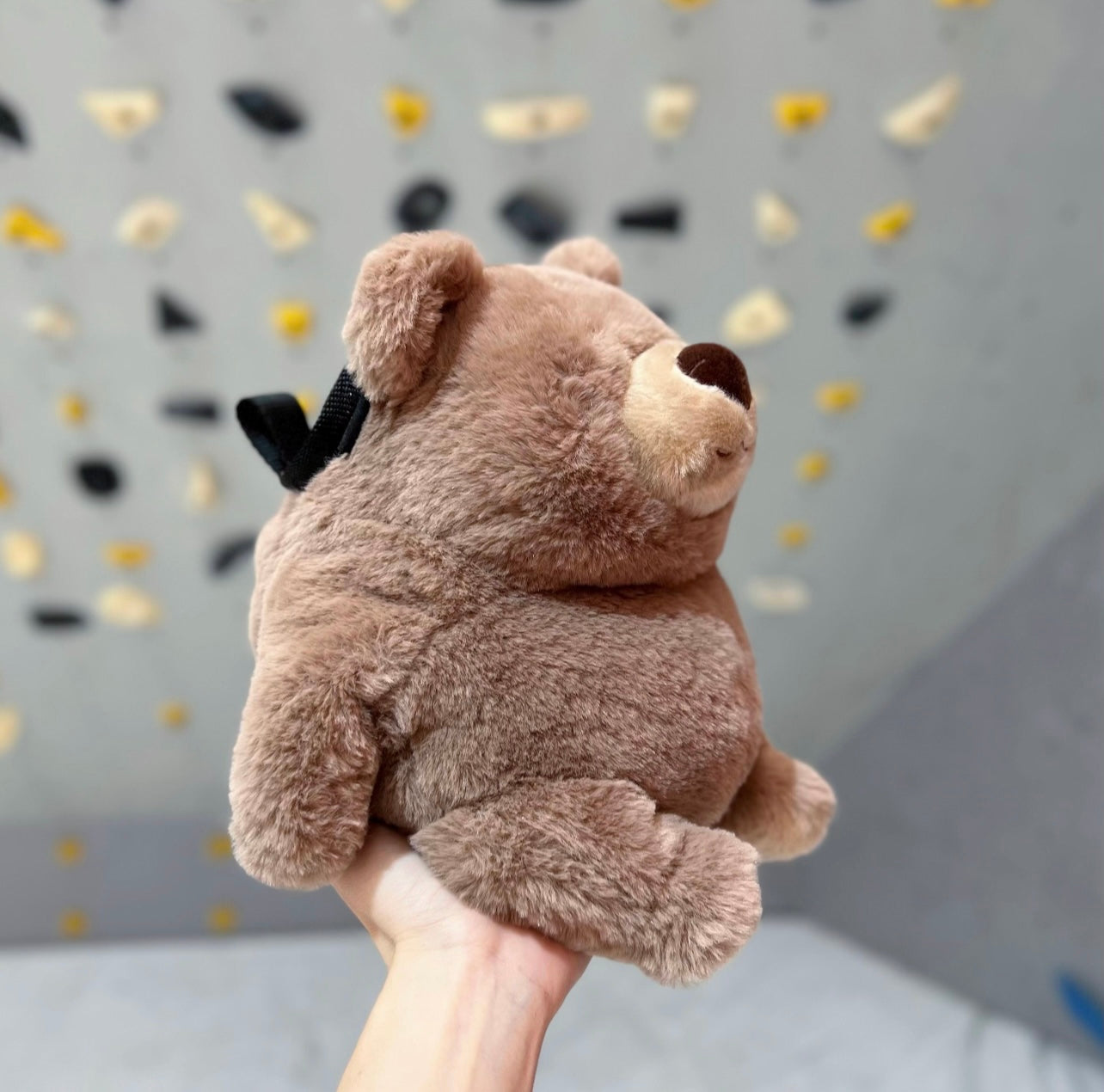 Chubby Brown Bear chalk bag