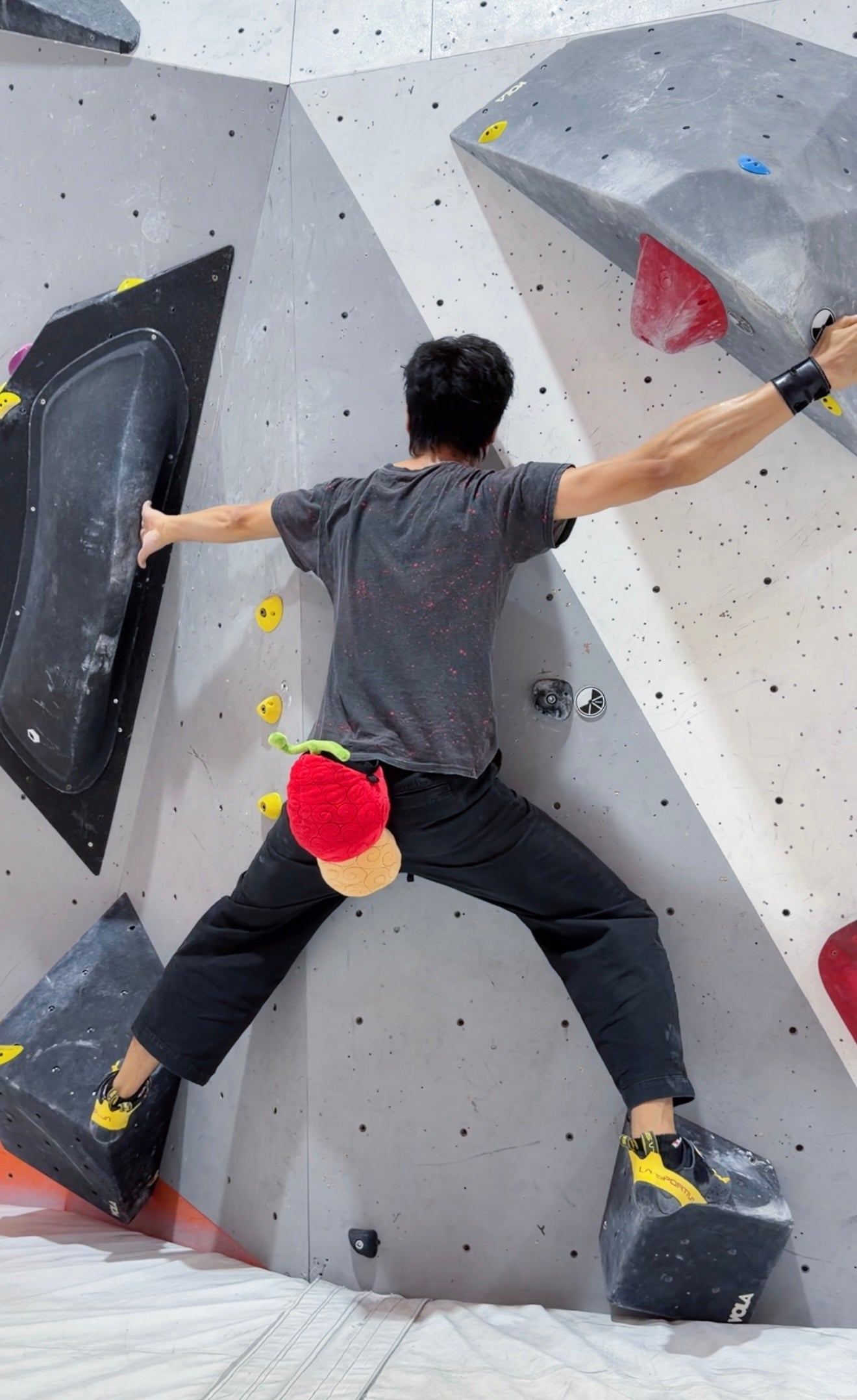 Devil Fruit chalk bag (Hito Hito no Mi)