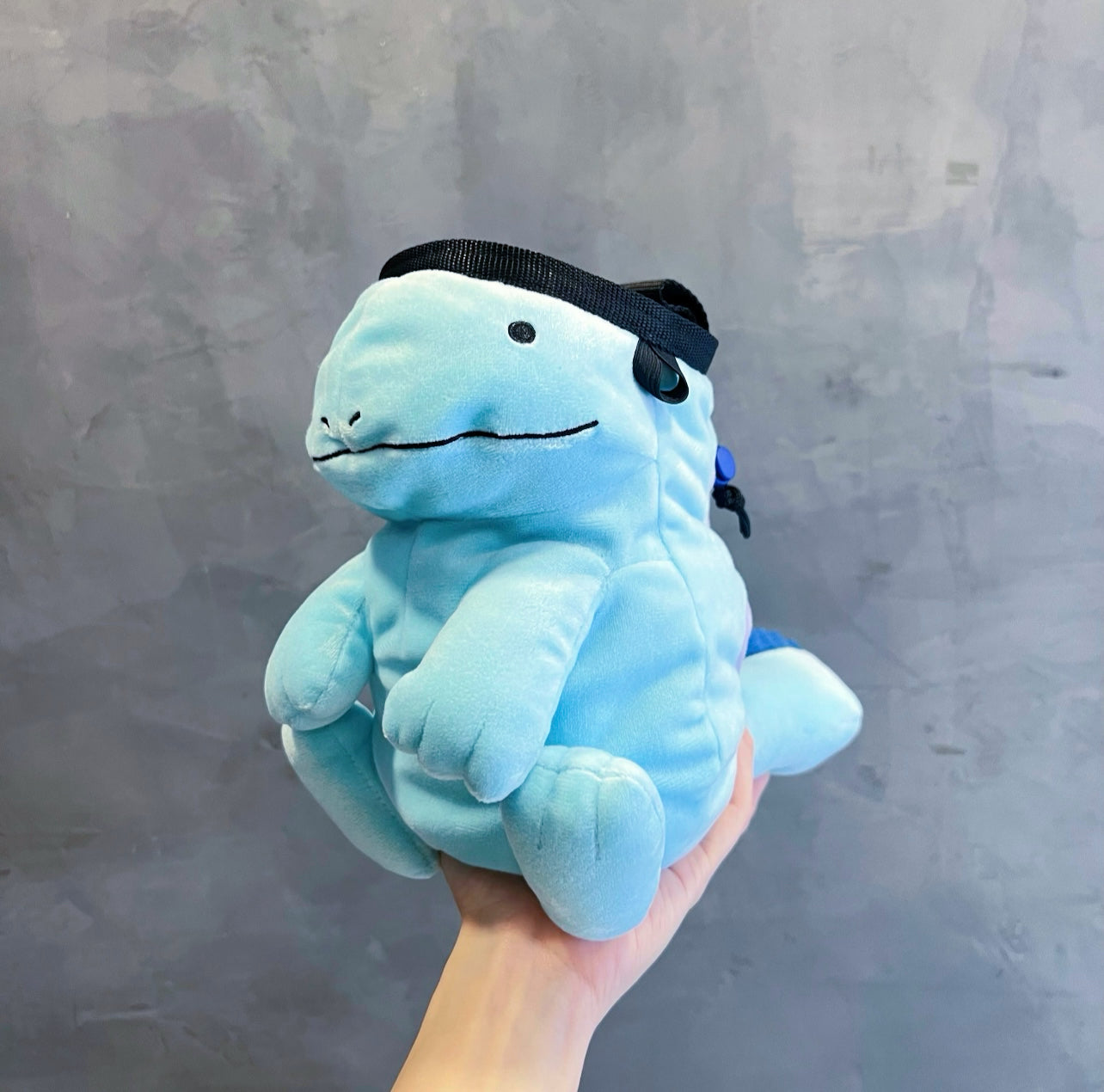 Quagsire Chalk Bag – Classic Size (M)