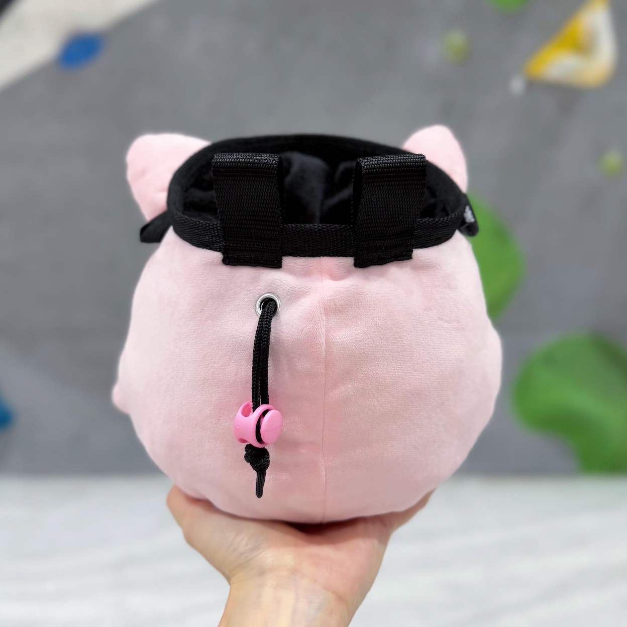 Jigglypuff Chalk Bag