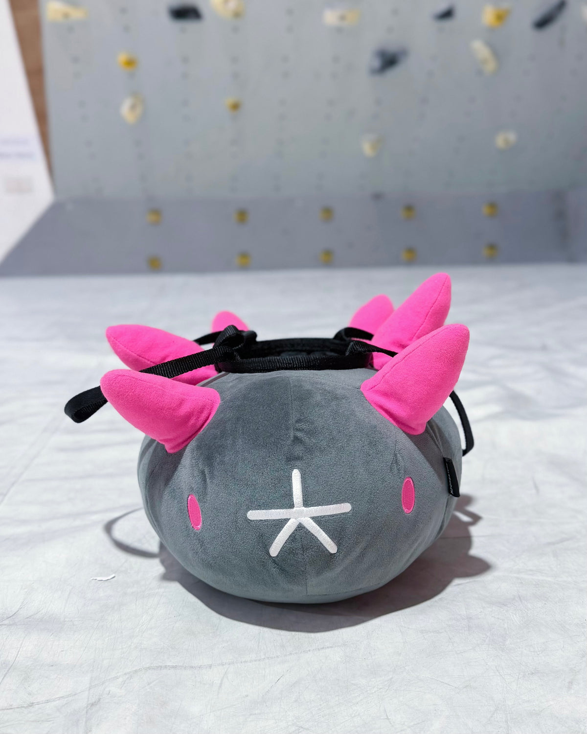 Pyukumuku bouldering bag