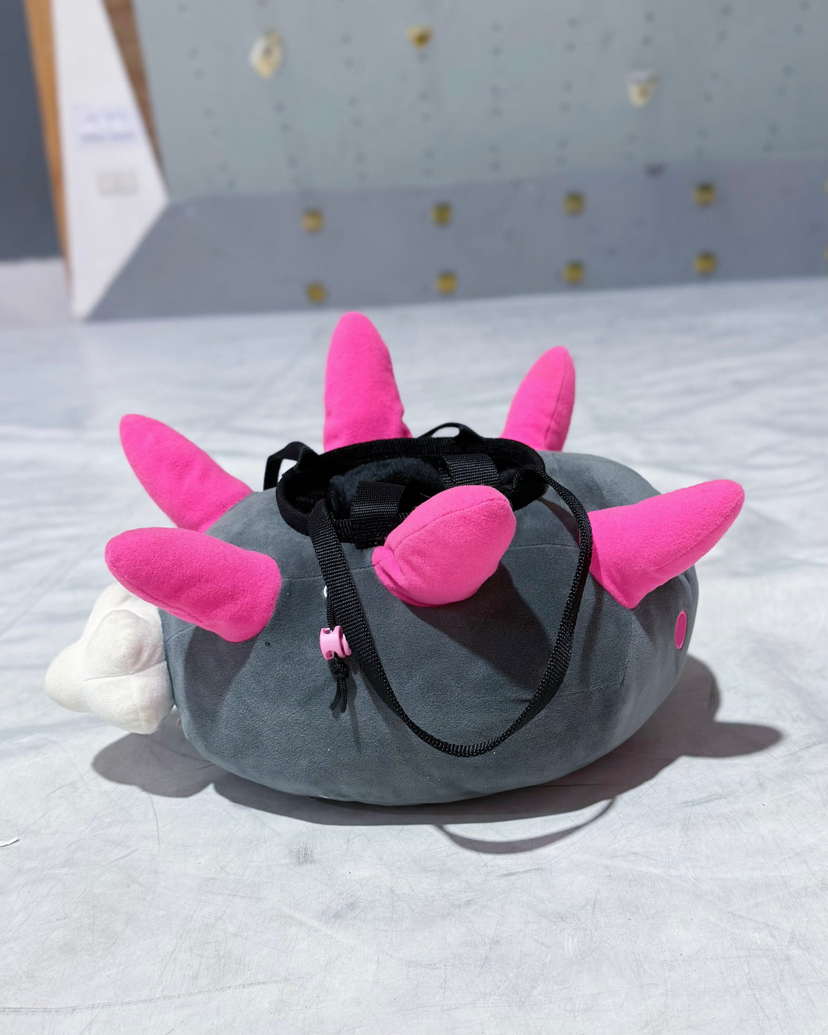 Pyukumuku bouldering bag