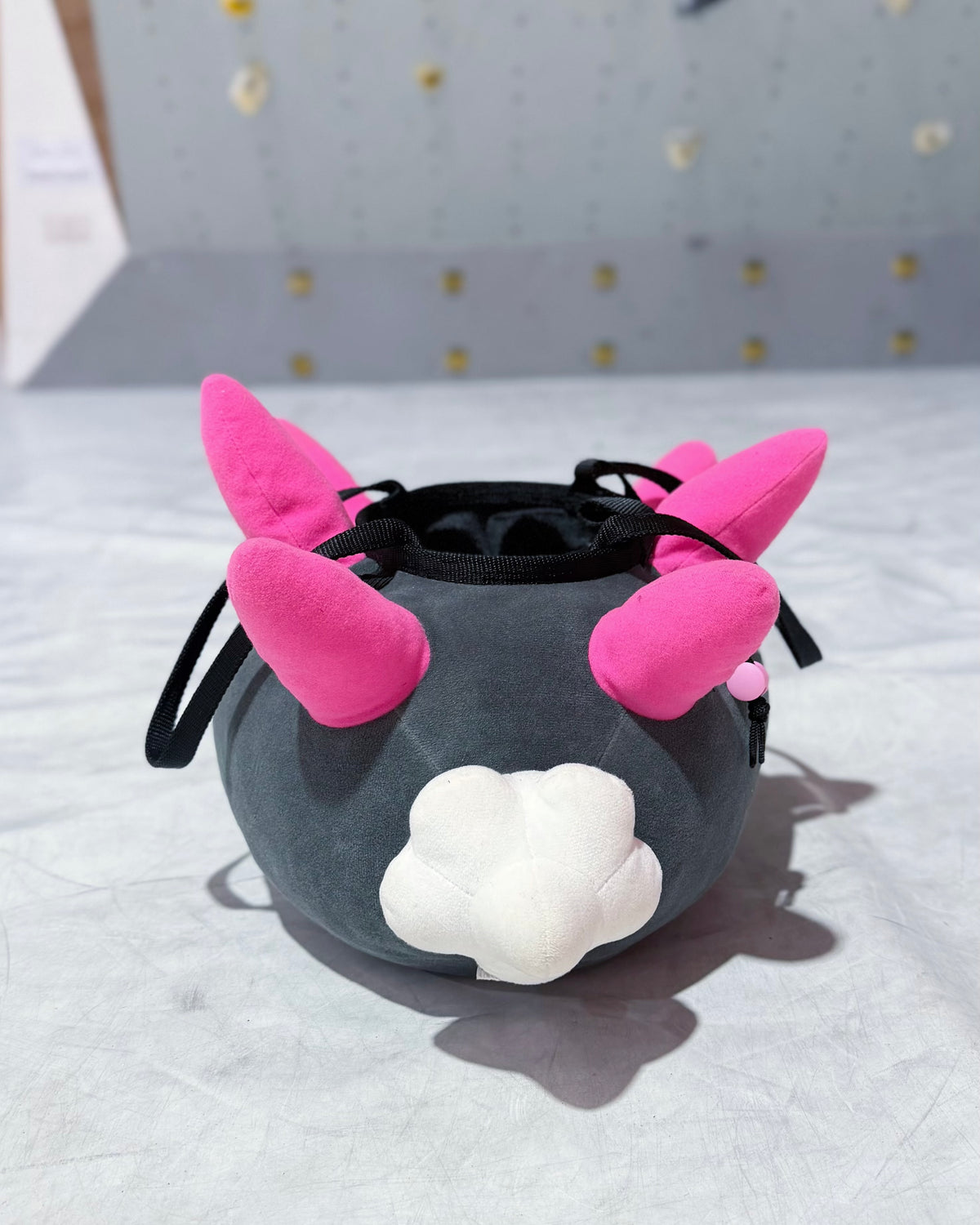 Pyukumuku bouldering bag