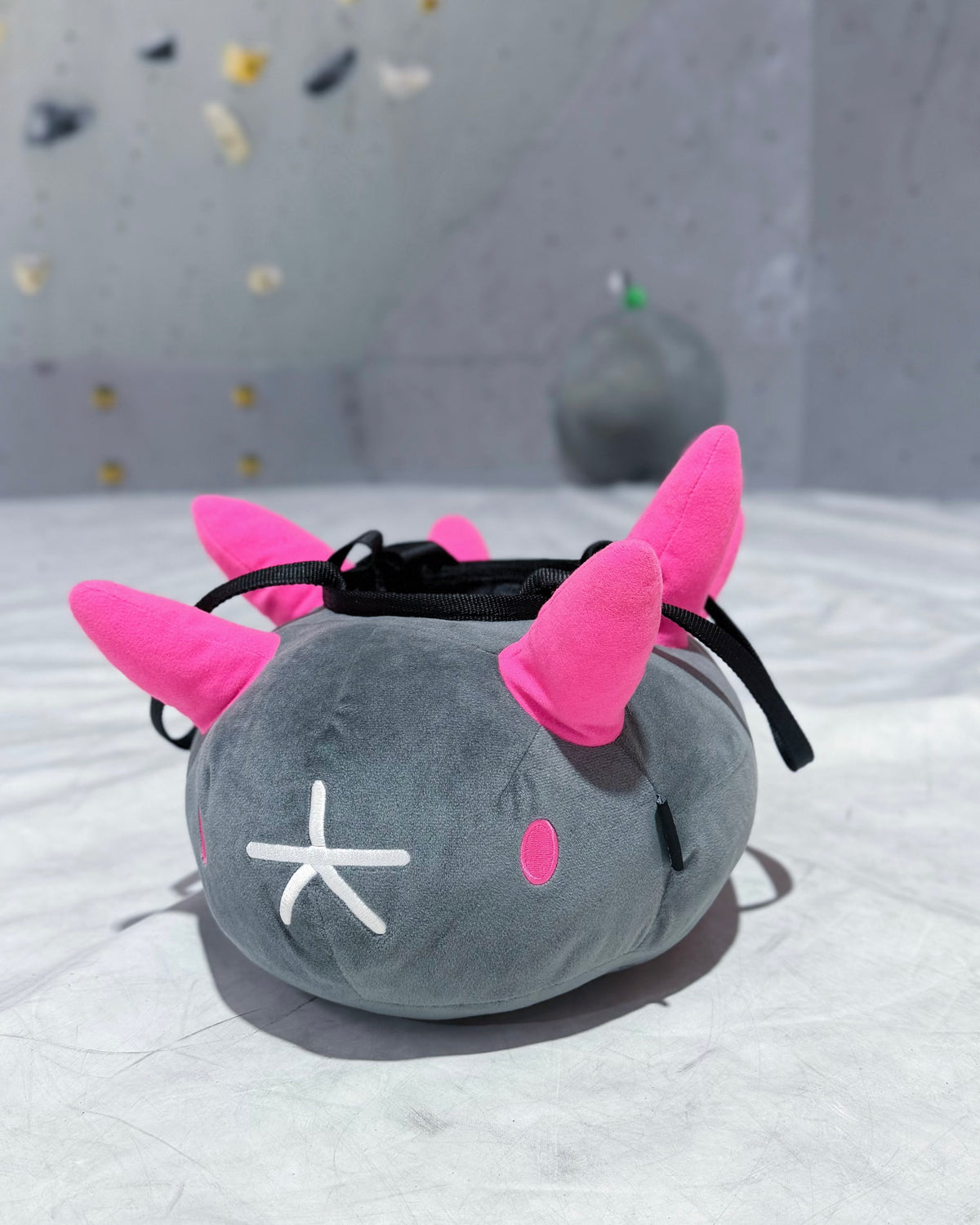 Pyukumuku bouldering bag