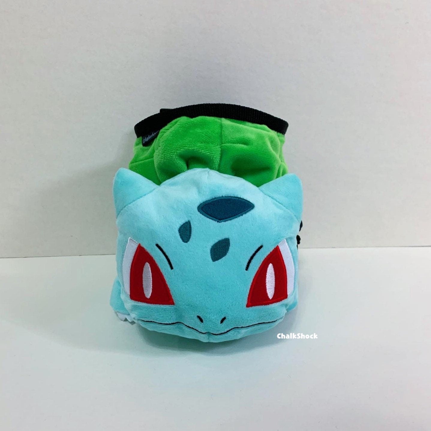 Bulbasaur (Fushigidane) Pokemon Chalk Bag