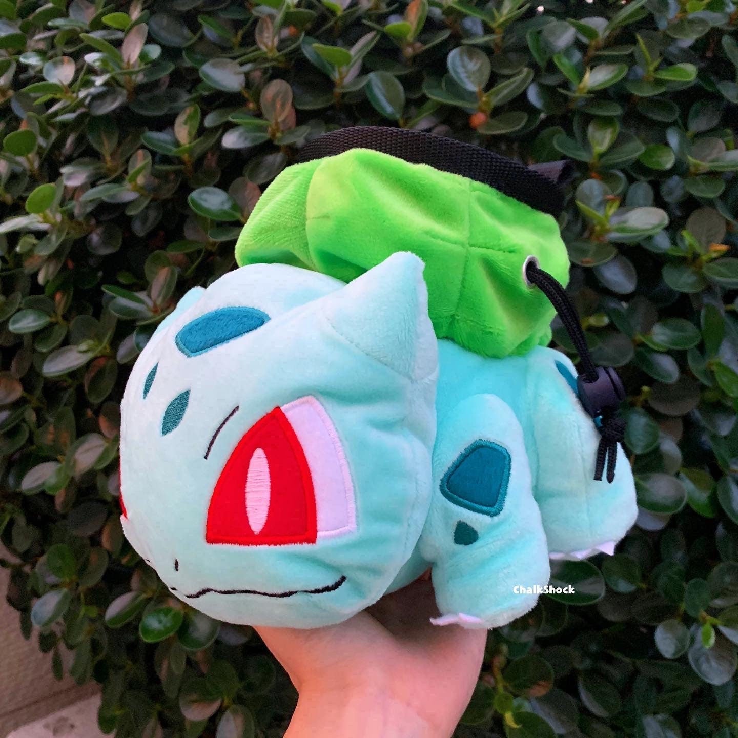 Bulbasaur (Fushigidane) Pokemon Chalk Bag