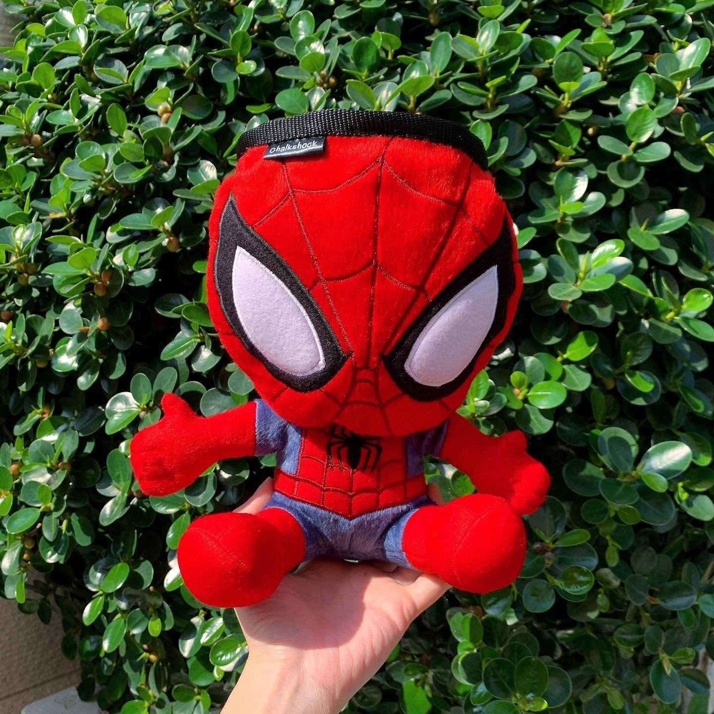 Spiderman Chalk Bag