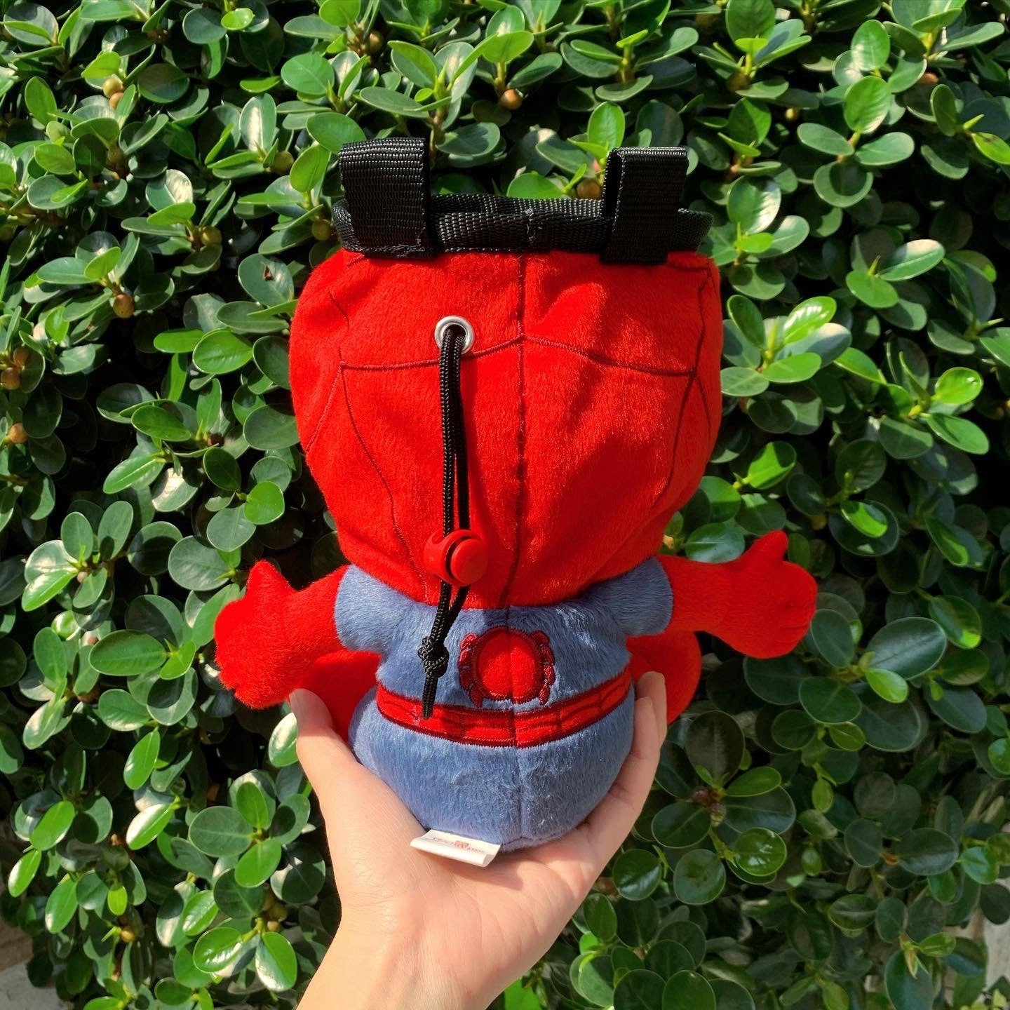 Spiderman Chalk Bag