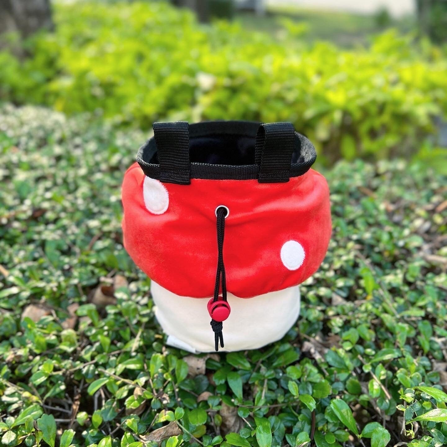 Mushroom chalk bag